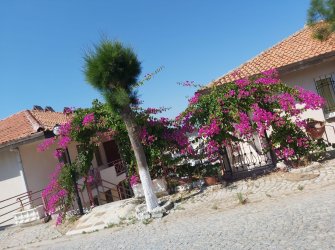 Güllük'te Deniz Manzaralı, Park İasos'ta 2+1 Satılık Daire
